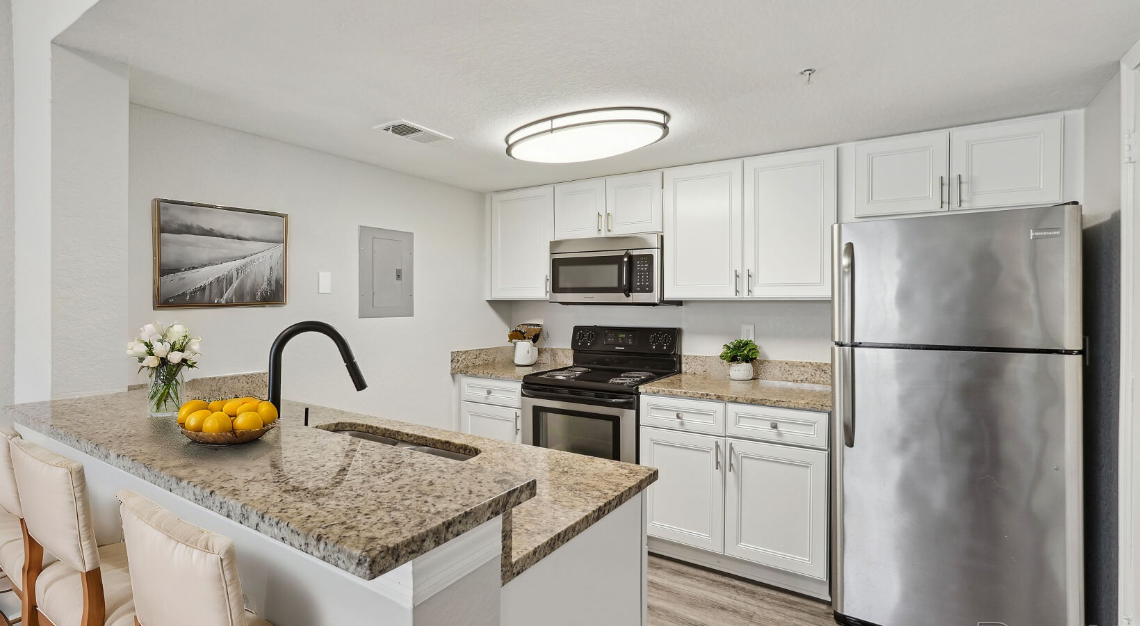 Meadow Brook Preserve — Renovated kitchen with granite countertops, white cabinets and stainless appliances
