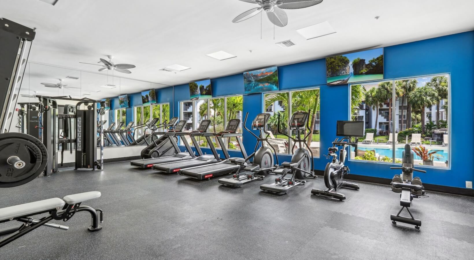 The Lennox — Renovated fitness center with cardio equipment, blue accent wall, and pool views